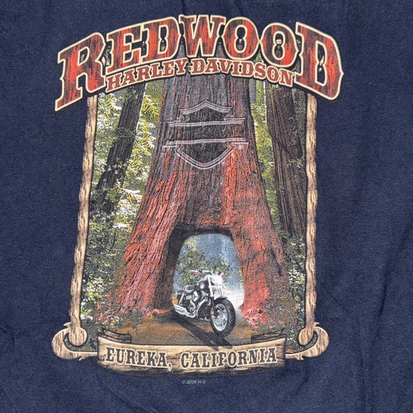 Vintage‎ harley davidson shirt ride the lost coast Us 101 - Picture 5 of 5